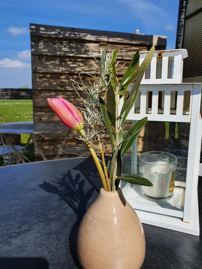 Houten Huisje Tussen Paarden Nieuwerkerken Exterior foto