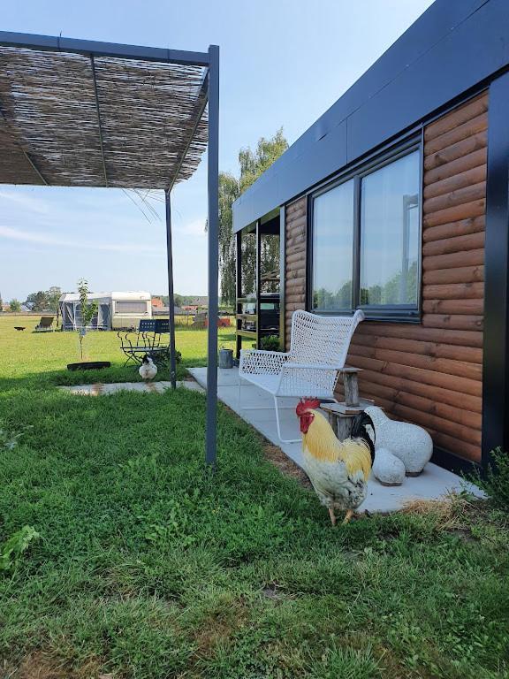 Houten Huisje Tussen Paarden Nieuwerkerken Exterior foto