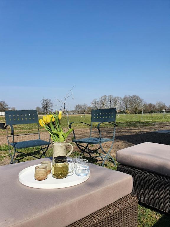 Houten Huisje Tussen Paarden Nieuwerkerken Exterior foto