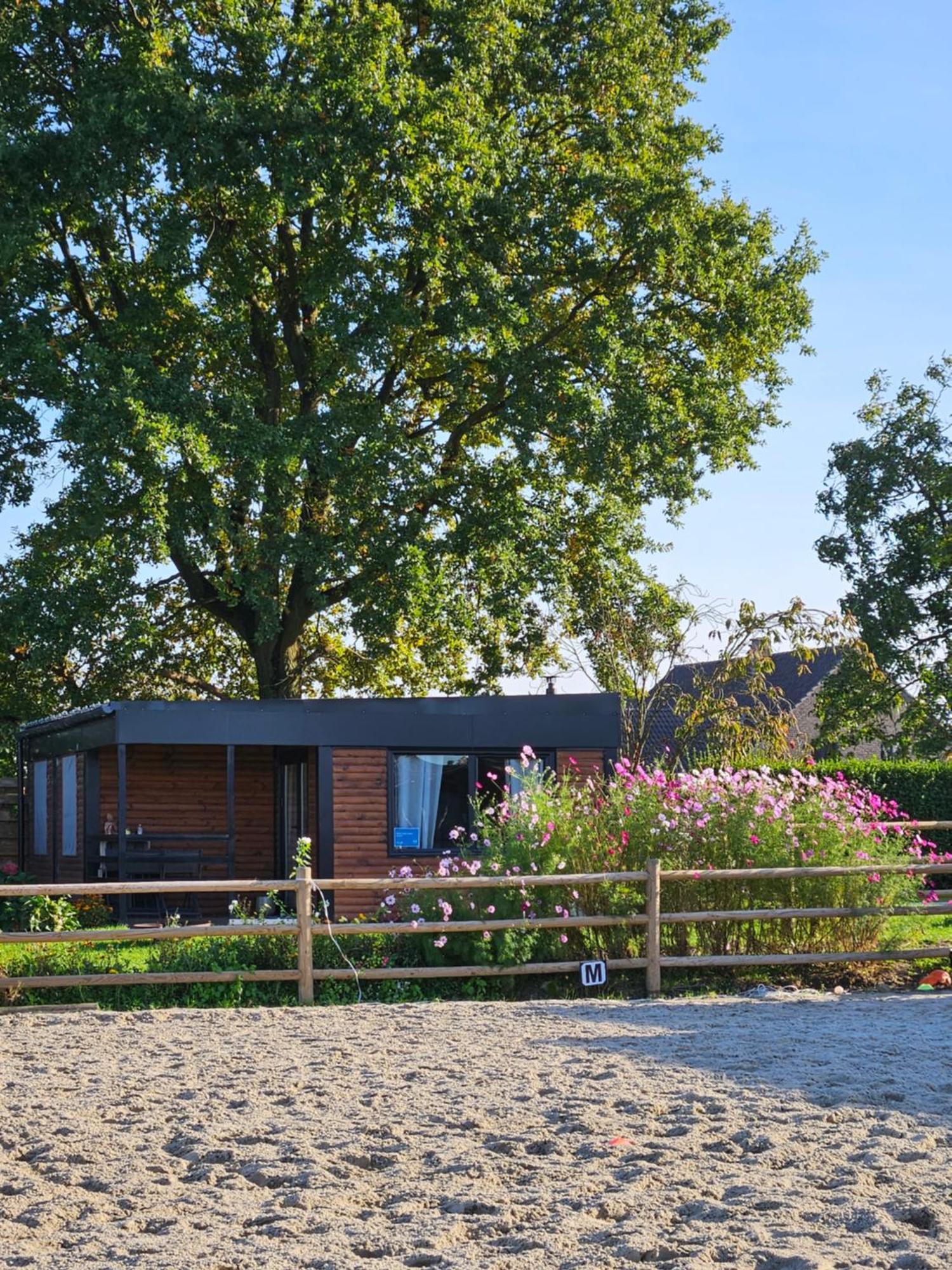 Houten Huisje Tussen Paarden Nieuwerkerken Exterior foto