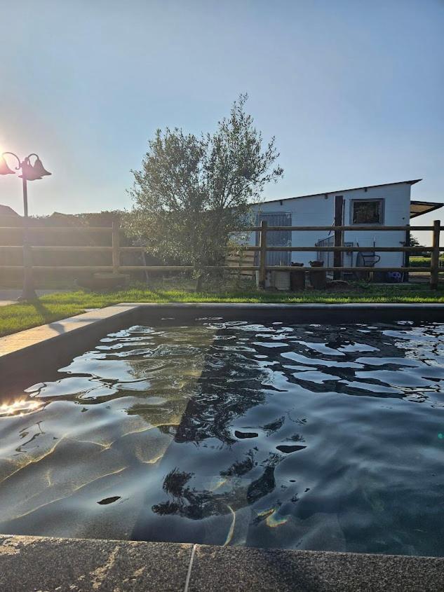 Houten Huisje Tussen Paarden Nieuwerkerken Exterior foto